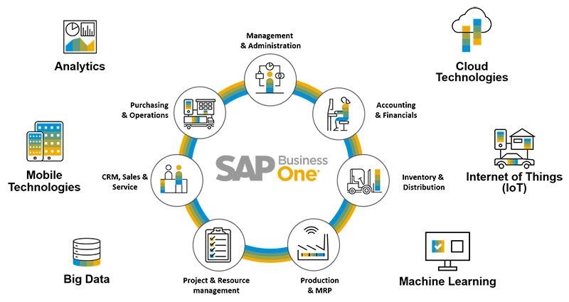 Giới Thiệu về SAP ERP là gì, đặc điểm và lợi ích.