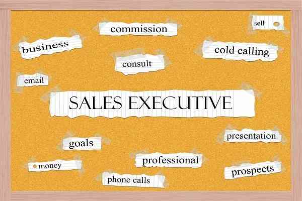 Sale Executive là Gì? Kỹ Năng Cần Thiết cho Sale Executive - Ảnh 1